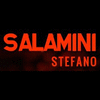 SALAMINI STEFANO NOLEGGIO GONFIABILI