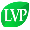 LVP HOLZ GMBH