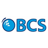 BCS CONSULTORES DE NEGOCIO