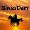 BINICIDERI SHOES