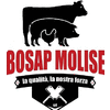 LA NUOVA BOSAP MOLISE SRL