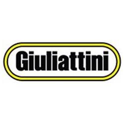 GIULIATTINI SRL